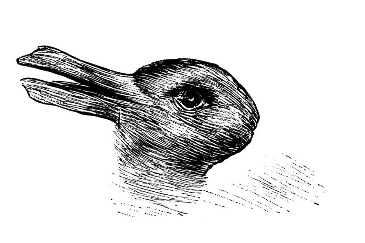 Оптическая иллюзия ворона кролик