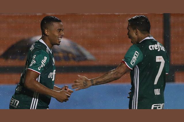 Quem Foi O Melhor Jogador Do Palmeiras Em