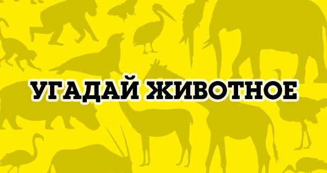 Картинки угадай животное