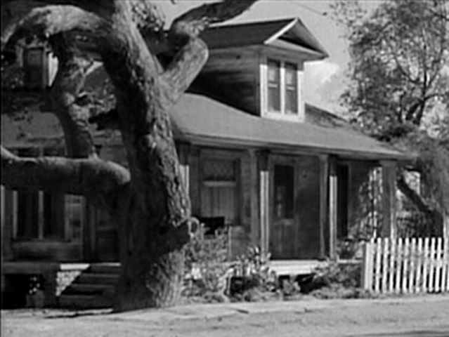 to kill a mockingbird how do This webquest was created to accompany the reading of to kill a mockingbird by harper lee it corresponds with the symbols, themes and central ideas throughout the book, along with the books relevance in history and to today's society. to kill a mockingbird how do This webquest was created to accompany the reading of to kill a mockingbird by harper lee it corresponds with the symbols, themes and central ideas throughout the book, along with the books relevance in history and to today's society.