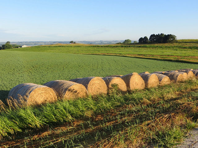 Idaho or Iowa: Where is this farm?