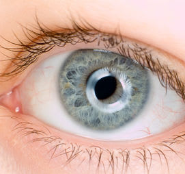 percentage of people with blue eyes percentage of people with blue eyes