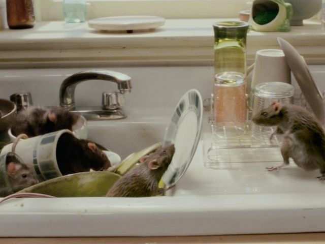 Choose the movie with the best Princess clean-up.
