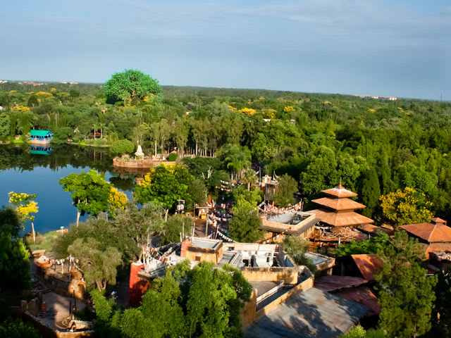 How Well Do You Know Disney's Animal Kingdom? | Playbuzz