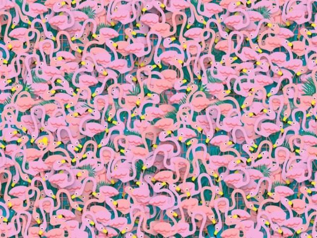 Canyou spot the ballerina hiding among all these flamingos? 
