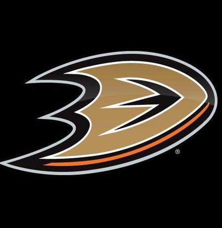 Ducks