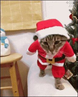 7cf84326-92a6-40e8-8329-bcc8b0c3b676.gif