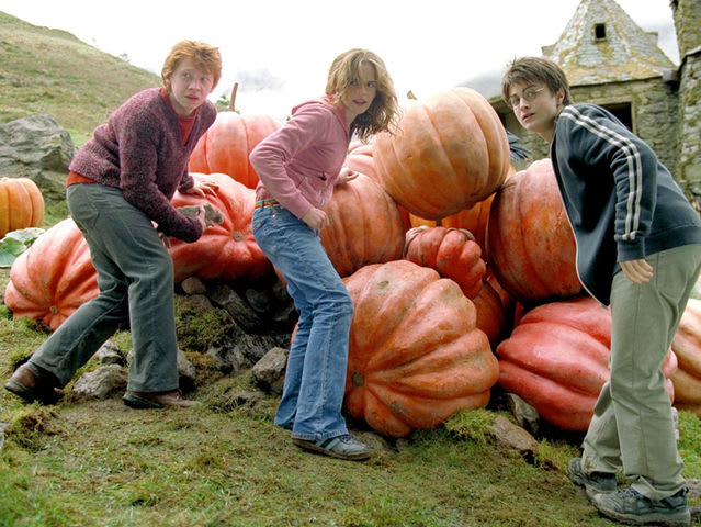 What's your favorite activity to do with a pumpkin?