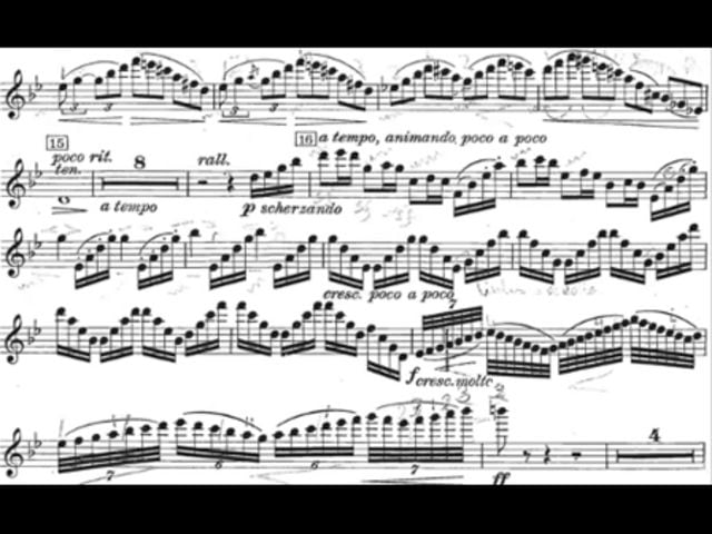 Boccherini Flute Concerto In D Major Pdf Files