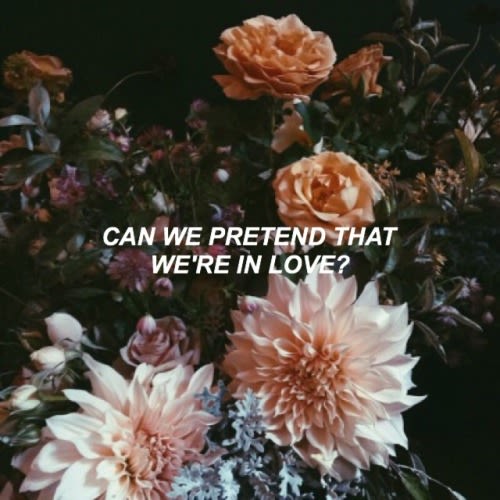 What S Your Aesthetic