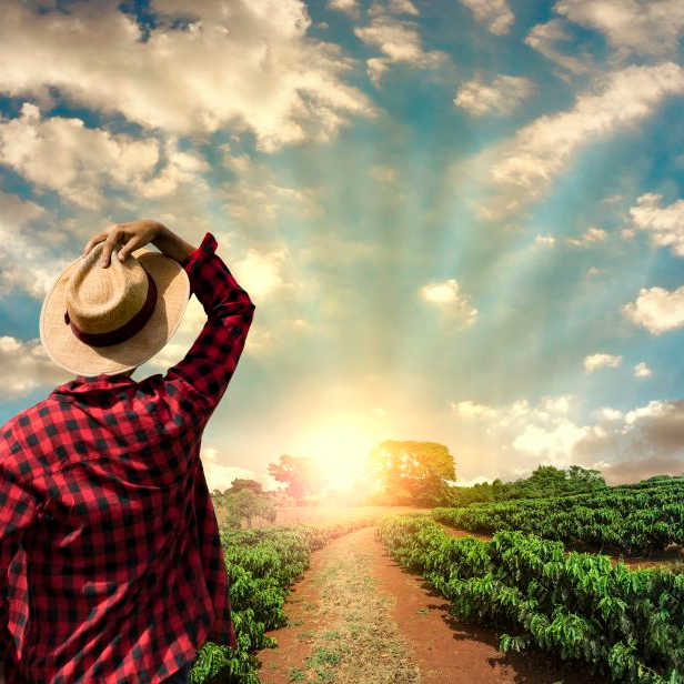 Farmer