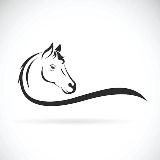 horse