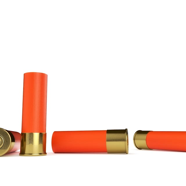 gun shell