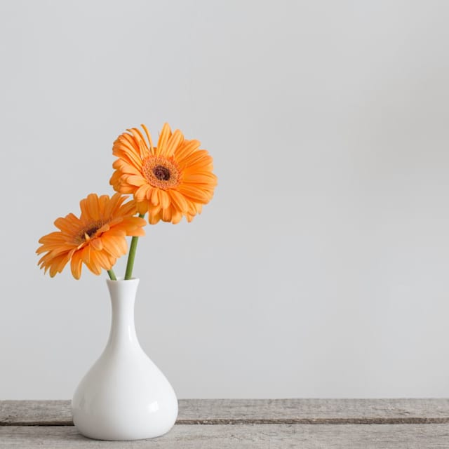 A vase?