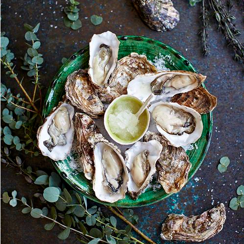 oysters