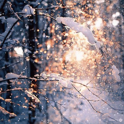 Winter