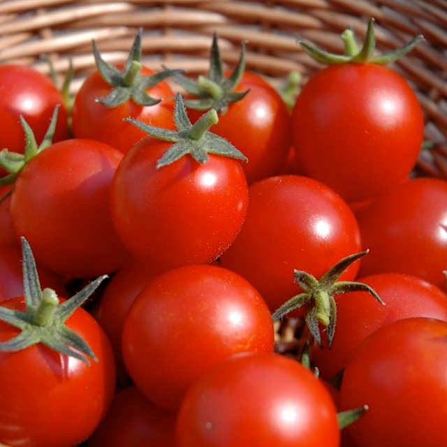 Tomatoes