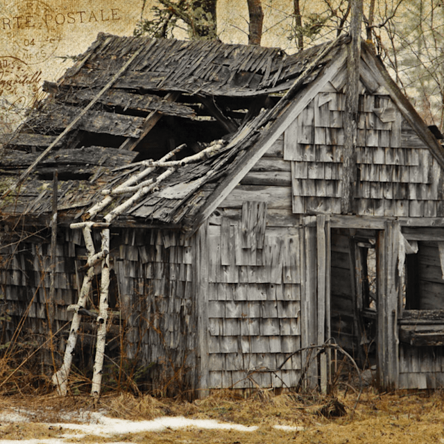 Shack in the Woods