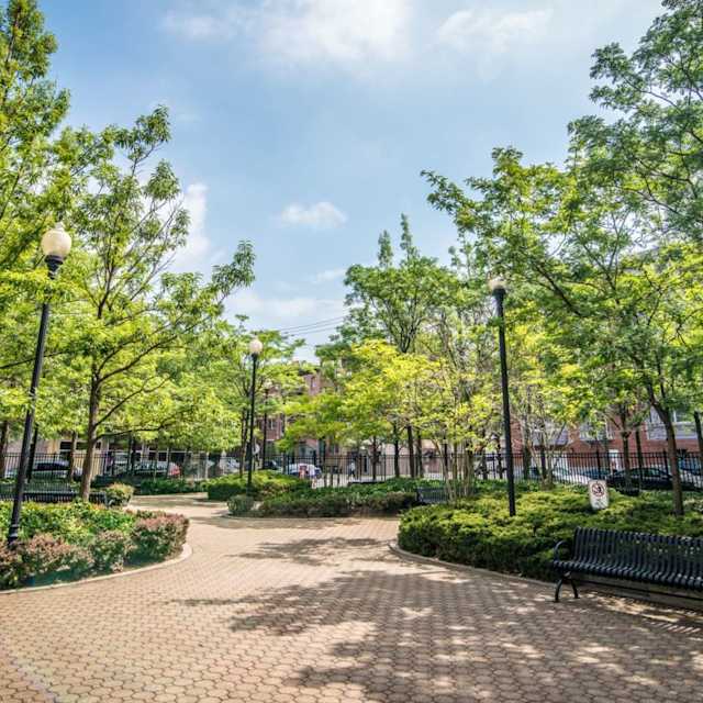 The Park