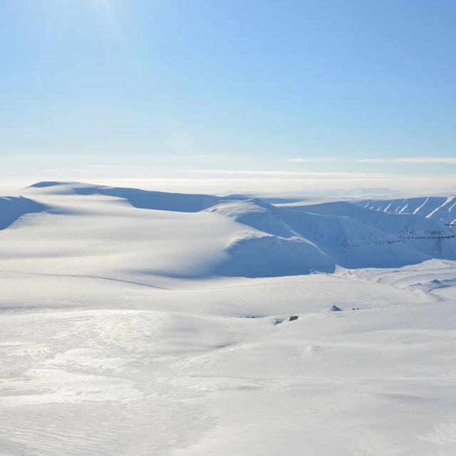 Polar desert