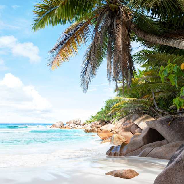 A totally secluded beach
