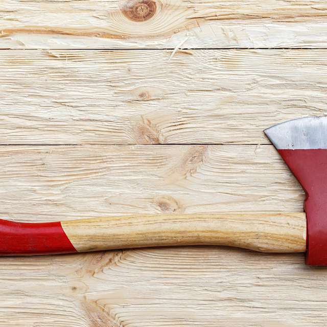 A hatchet and "Wilderness Survival for Dummies", because I'm going to be there for a while