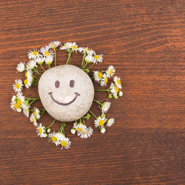 A pet rock