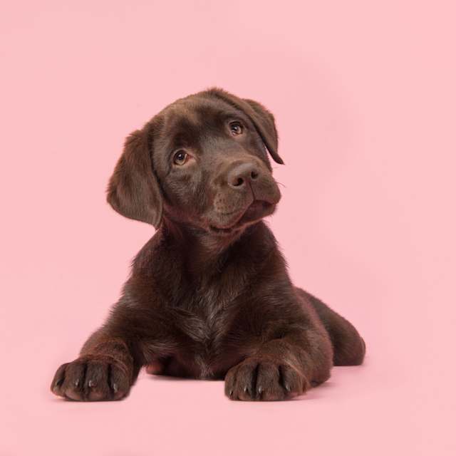 Pink!