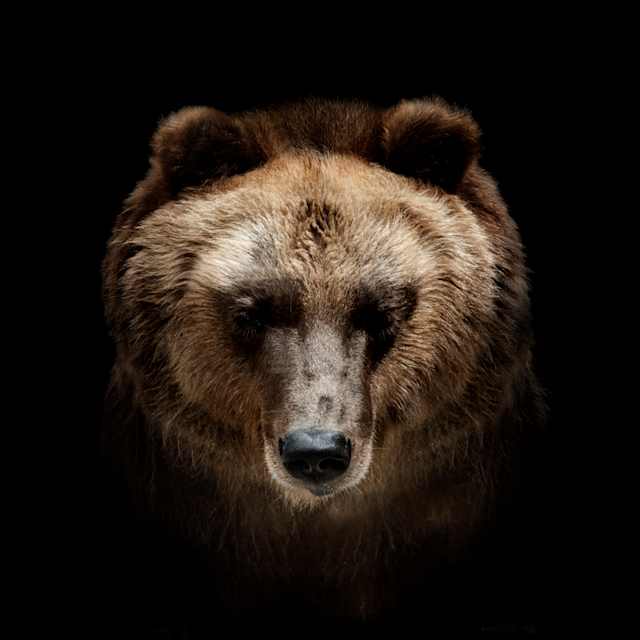 Something strong and ferocious!