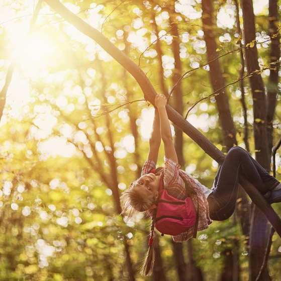 Climbing trees