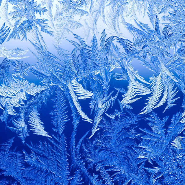 Frost