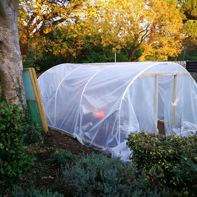 The Polytunnel