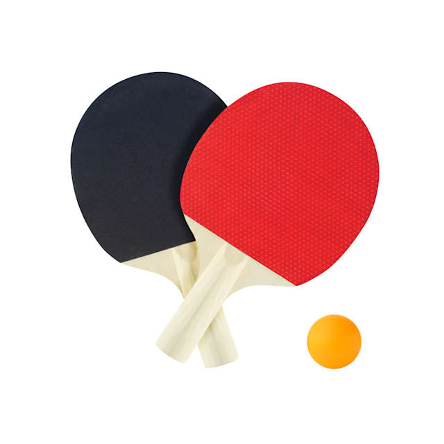 Play ping pong