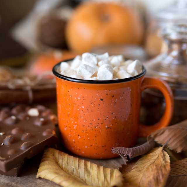 Pumpkin Hot Chocolate