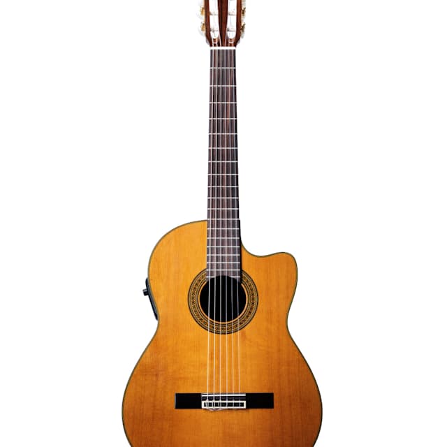 Acoustic guitar
