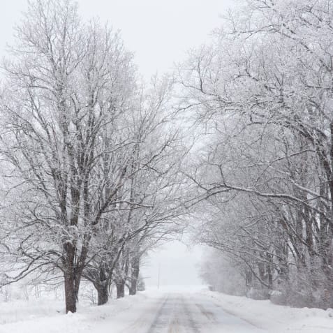 Winter