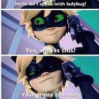 Are You Chat Noir Or Ladybug