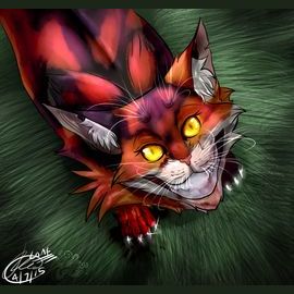 Not very experienced at art but I attempted to do some fan art of  Mapleshade. Got her color and look from the warriors wiki. : r/WarriorCats