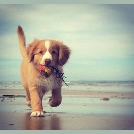 guess the first letter of my name