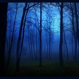 Diabolik Lovers Which Sakamaki Brother Is Your Soulmate Diabolik Lovers Which Sakamaki Brother Is Your Soulmate