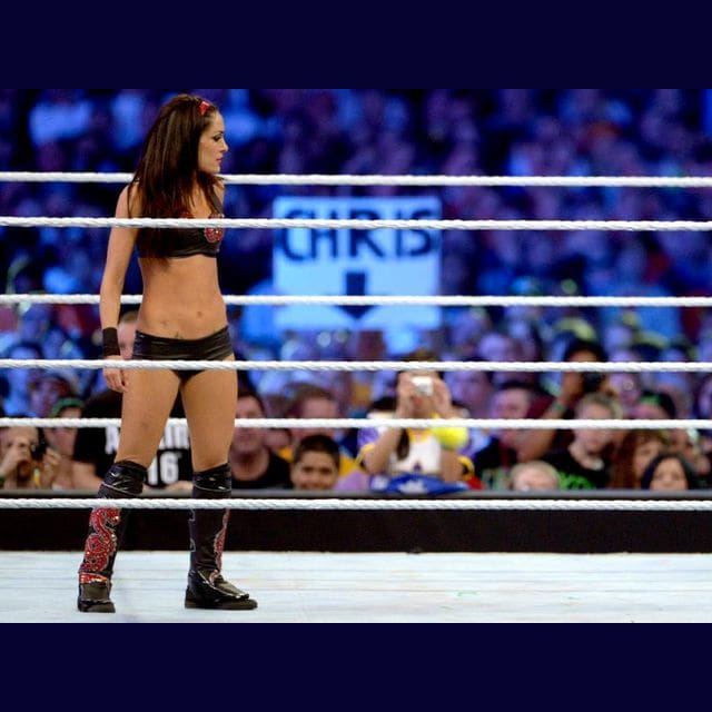 Brie Bella rocking American Dragon gear at Wrestlemania, thought