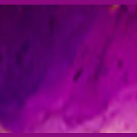 96 の人がこのカラーiqテストをパスできません