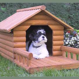 What Would Your Dog Name Be It has a global traffic rank of #3,400,733 in. what would your dog name be