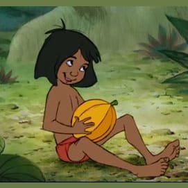 Which Jungle Book Character Are You?