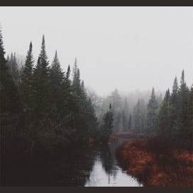 Which Natural Landscape Should You Live In