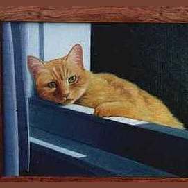 What Cat Breed Are You
