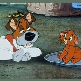 Can We Guess If You Re A Cat Or Dog Person By Your Taste In Movies