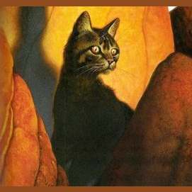 What Is Your Warrior Cat Name She Cats Only