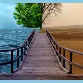 Le pont. 