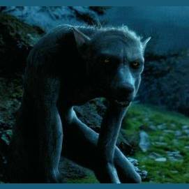 Varulver